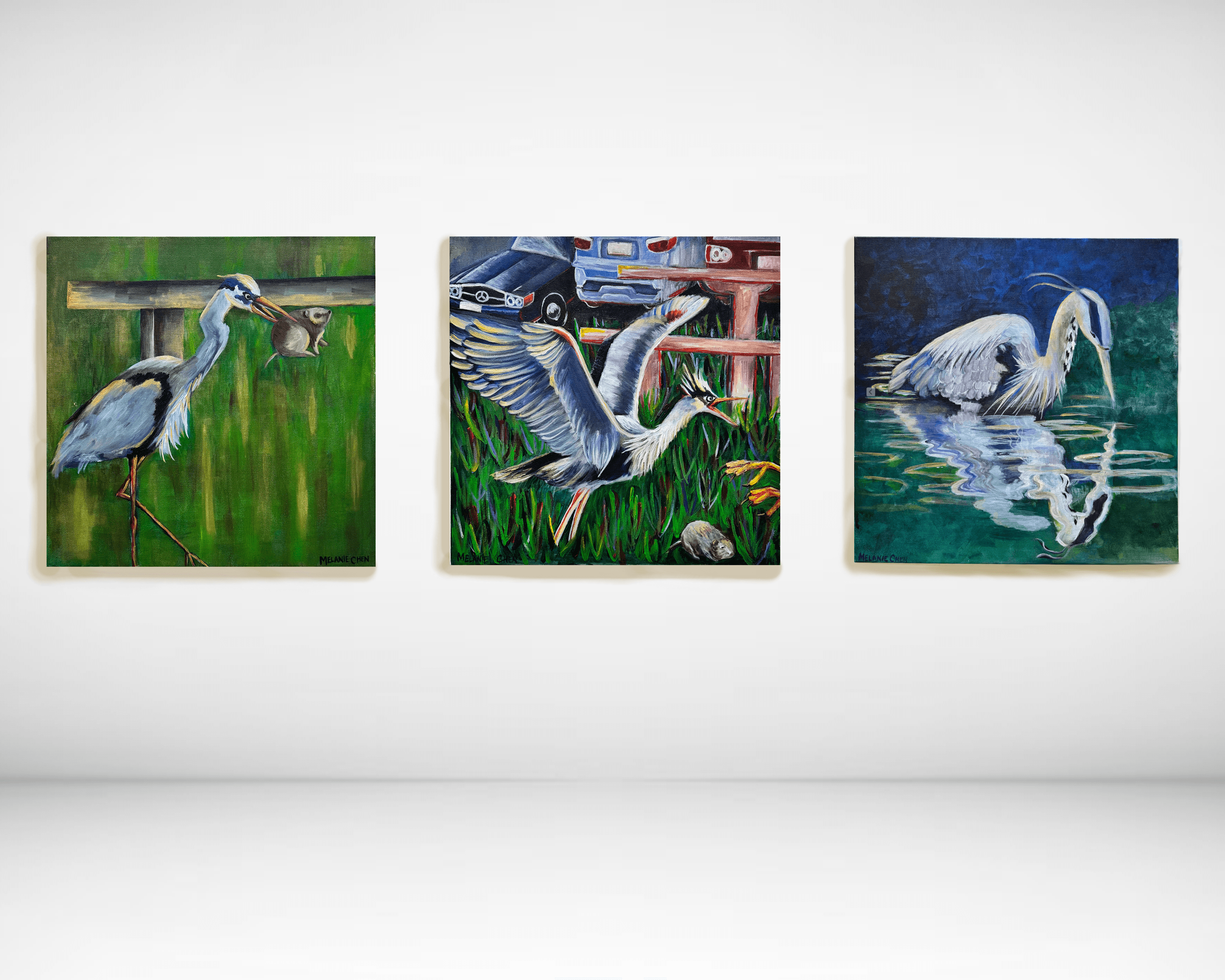 Big Bird Series