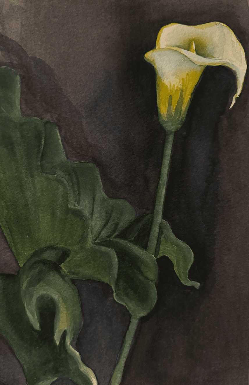 Calla Lily Study, 2022 — watercolor on paper, by Melanie Chen