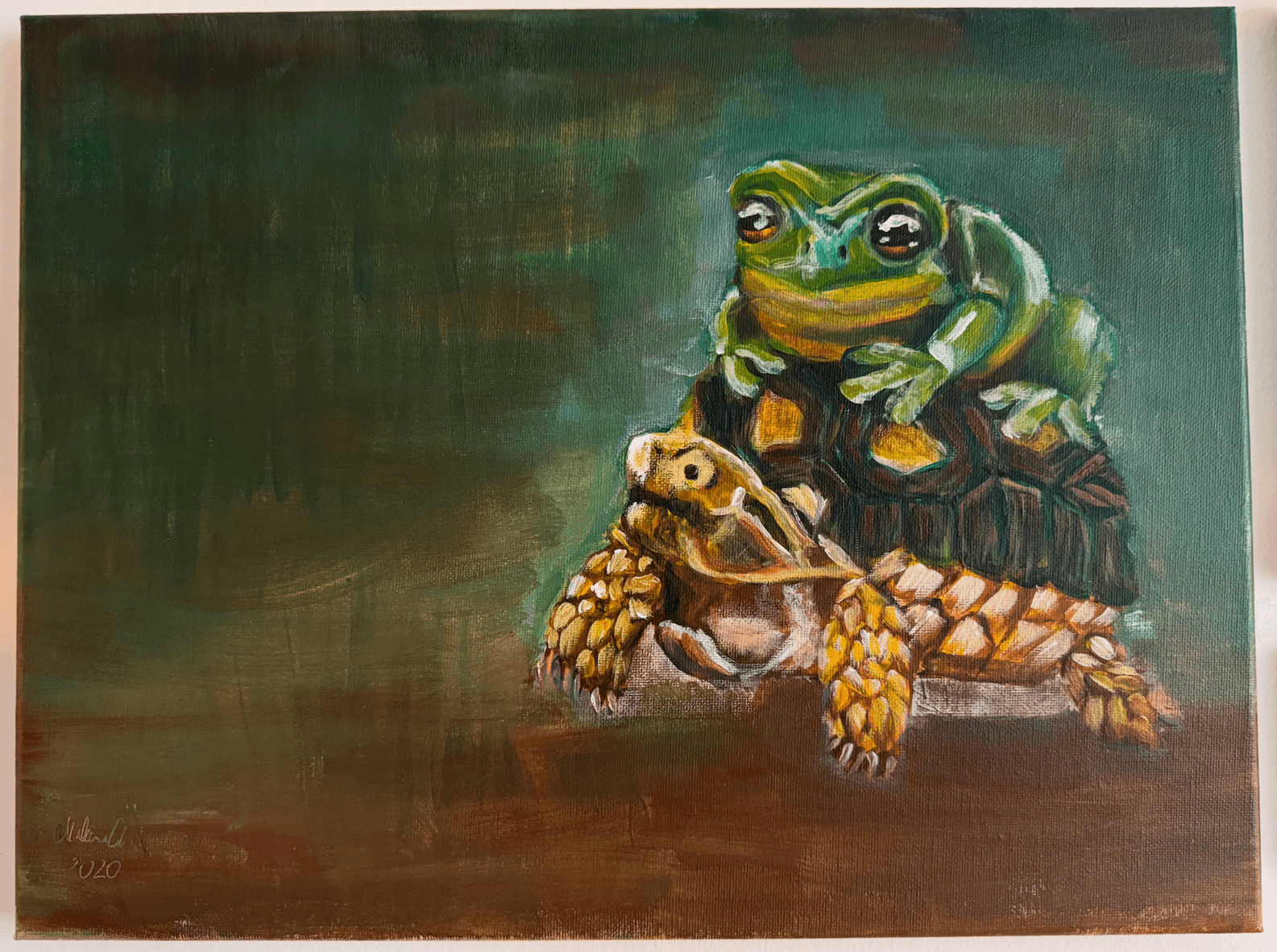 The Turtle and the Frog