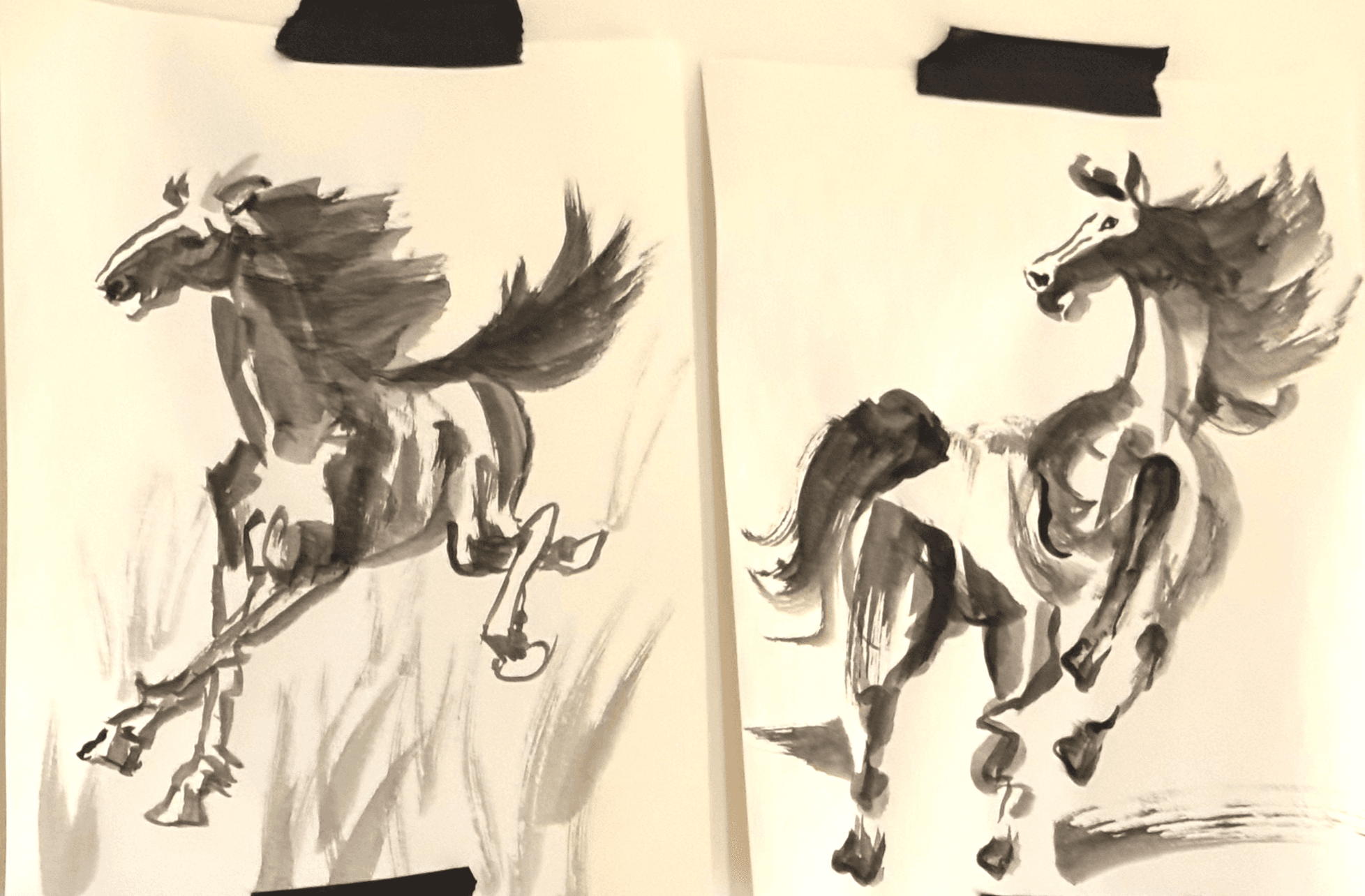 Wild Horses